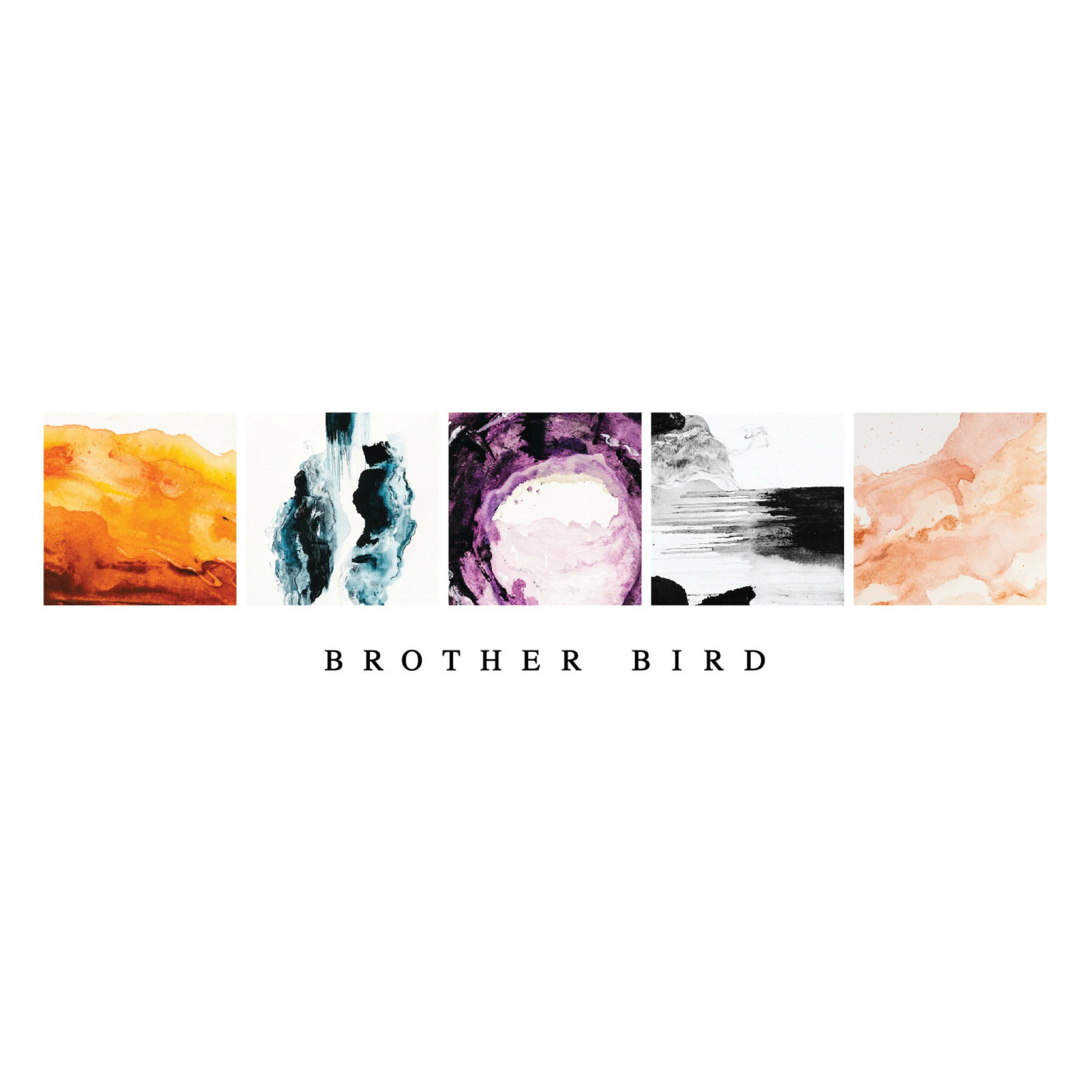Brother Bird: EP vinyl — Brother Bird